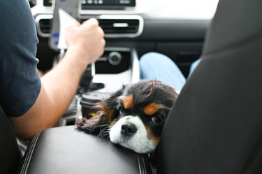 Similar image 21841589