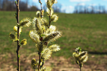 Similar image 21841594