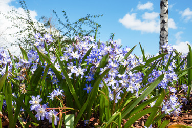 Similar image 21841595