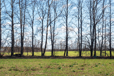 Similar image 21841596