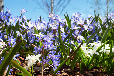 Similar image 21841597