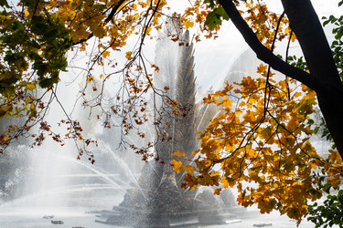 Similar image 21841599