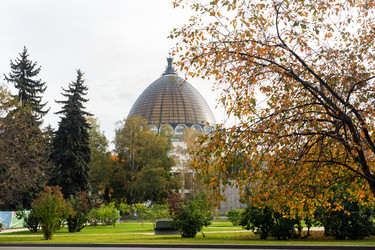 Similar image 21841601