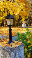 Similar image 21841602