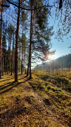 Similar image 21841605