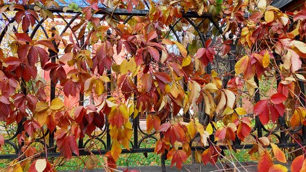 Similar image 21841606