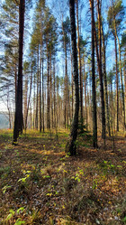 Similar image 21841607