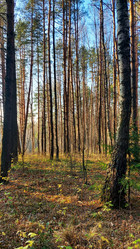 Similar image 21841608