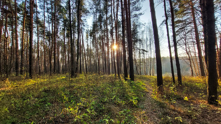 Similar image 21841609