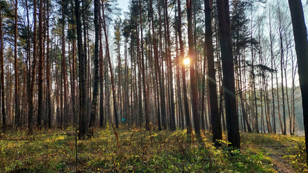 Similar image 21841610