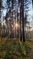 Similar image 21841611