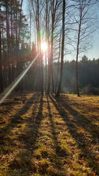 Similar image 21841612