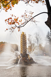 Similar image 21841613