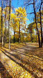 Similar image 21841618