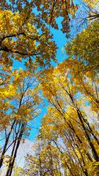 Similar image 21841619