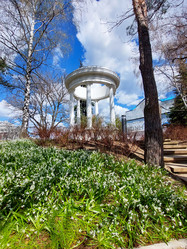 Similar image 21841851