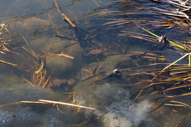 Similar image 21842291