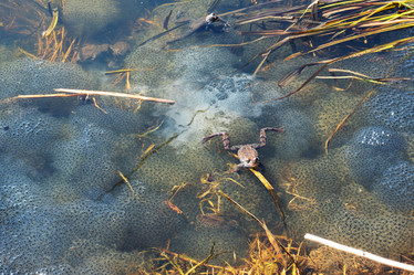 Similar image 21842292