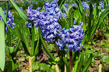 Similar image 21842293