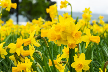 Similar image 21842297