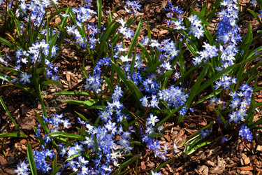 Similar image 21842298