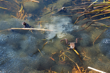 Similar image 21842300