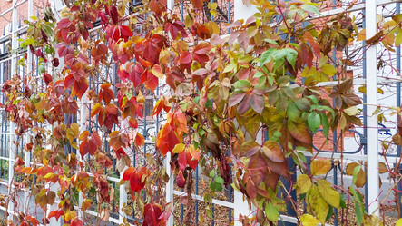 Similar image 21842301