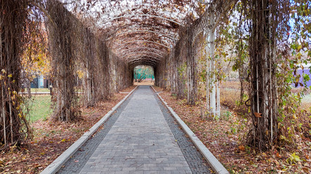 Similar image 21842303