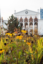 Similar image 21842304