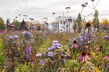 Similar image 21842306