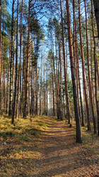 Similar image 21842308