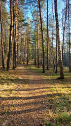 Similar image 21842309