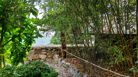 Similar image 21841625