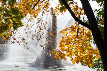 Similar image 21841627