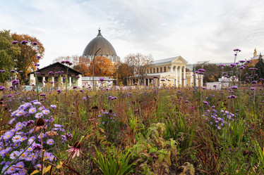 Similar image 21841637