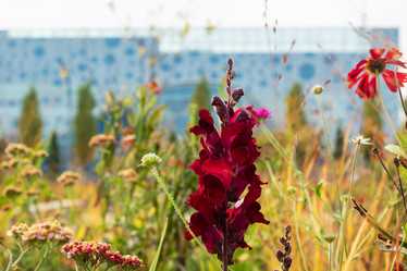 Similar image 21841638