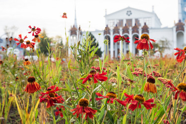 Similar image 21841640