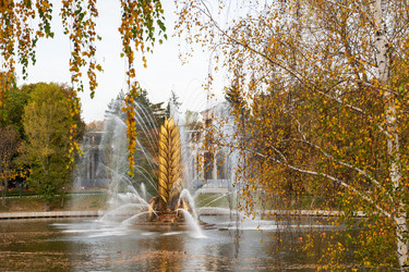 Similar image 21841647