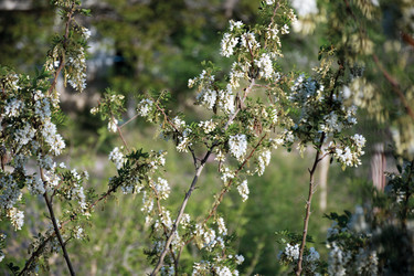 Similar image 21841860