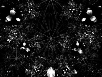 Similar image 21843758