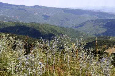 Similar image 21856009