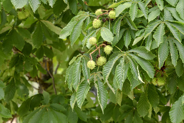 Similar image 21856011