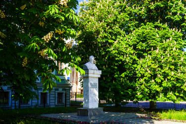 Similar image 21850608