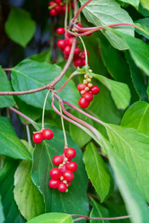 Similar image 21841723