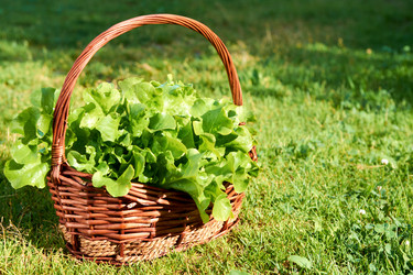 Similar image 21841724