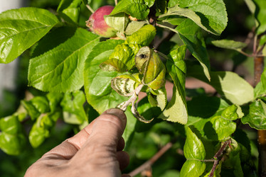 Similar image 21841725