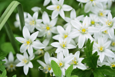 Similar image 21841900