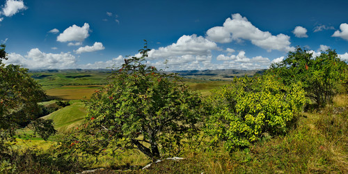 Similar image 21847606