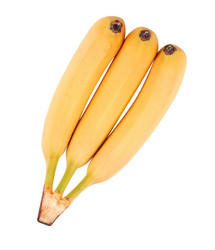 Similar image 21841908