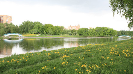 Similar image 21841913